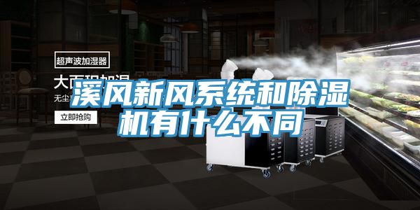 溪風新風系統(tǒng)和除濕機有什么不同