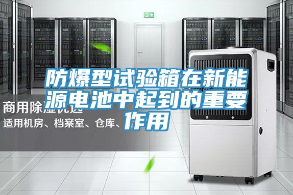 防爆型試驗(yàn)箱在新能源電池中起到的重要作用