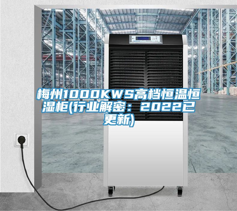 梅州1000KWS高檔恒溫恒濕柜(行業解密:2022已更新)