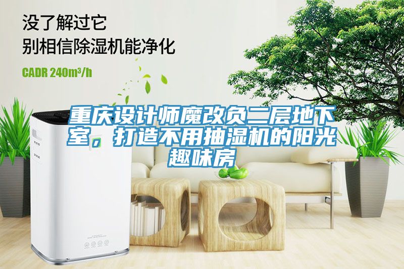 重慶設(shè)計(jì)師魔改負(fù)二層地下室，打造不用抽濕機(jī)的陽光趣味房