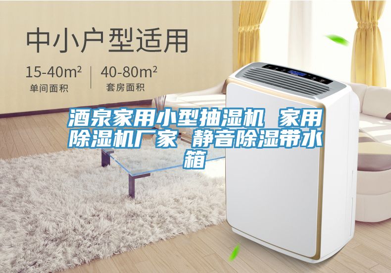 酒泉家用小型抽濕機(jī) 家用除濕機(jī)廠(chǎng)家 靜音除濕帶水箱