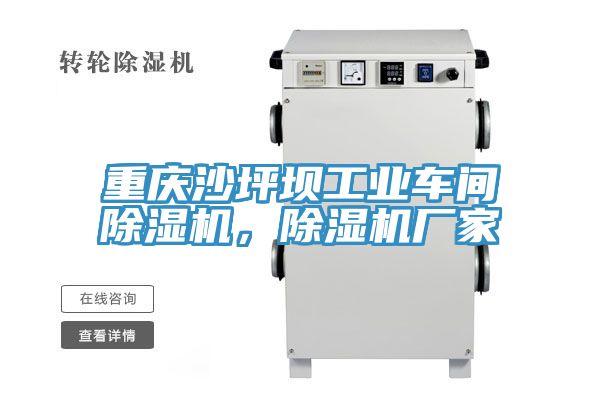 重慶沙坪壩工業(yè)車間除濕機(jī)，除濕機(jī)廠家