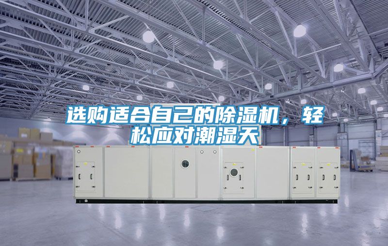 選購適合自己的除濕機,輕松應對潮濕天