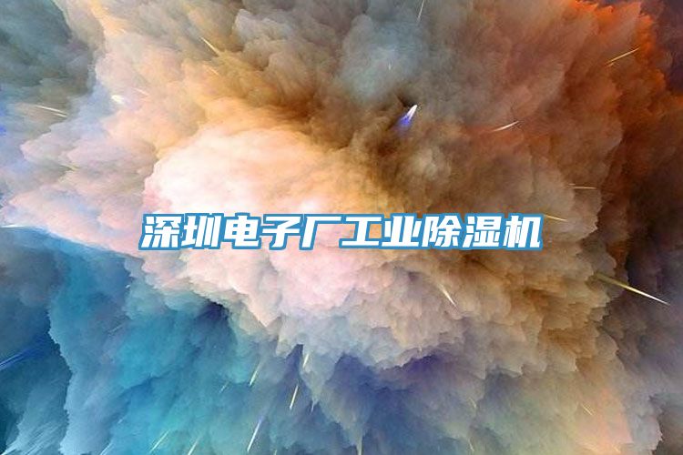 深圳電子廠工業除濕機