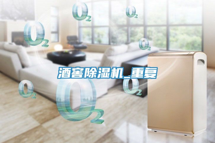 酒窖除濕機_重復(fù)