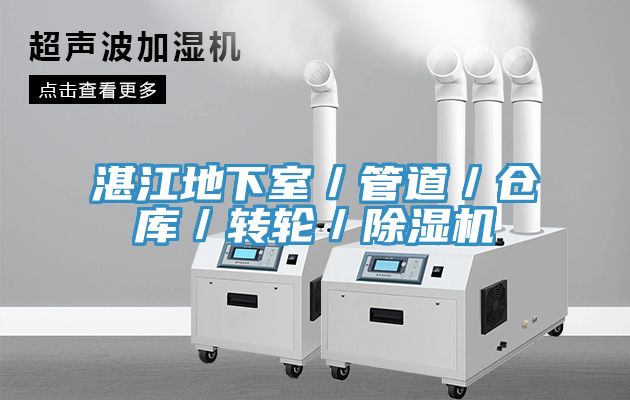 湛江地下室／管道／倉庫／轉輪／除濕機