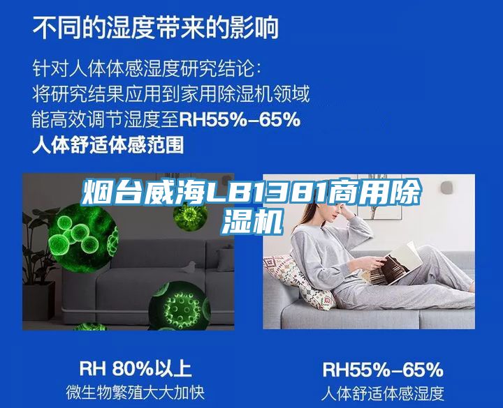 煙臺威海LB1381商用除濕機(jī)