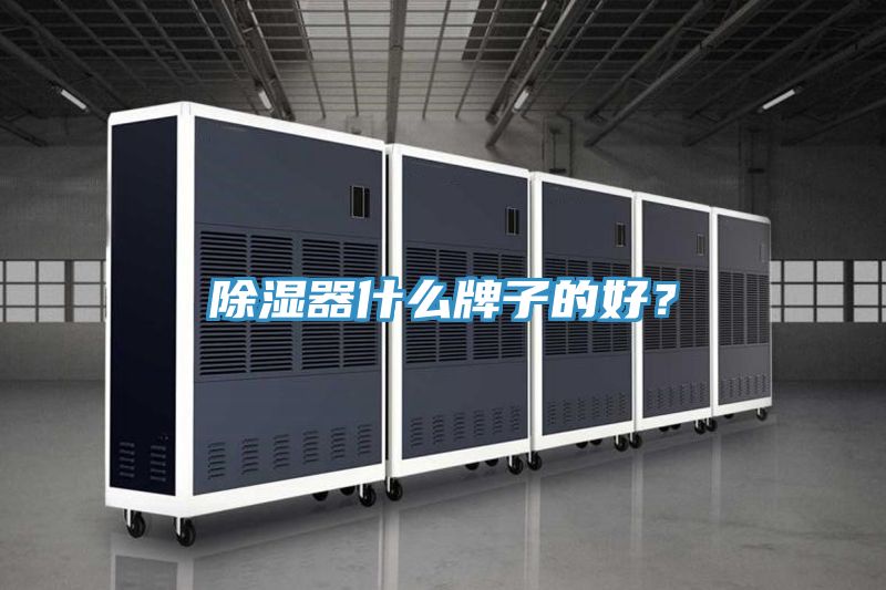 除濕器什么牌子的好?