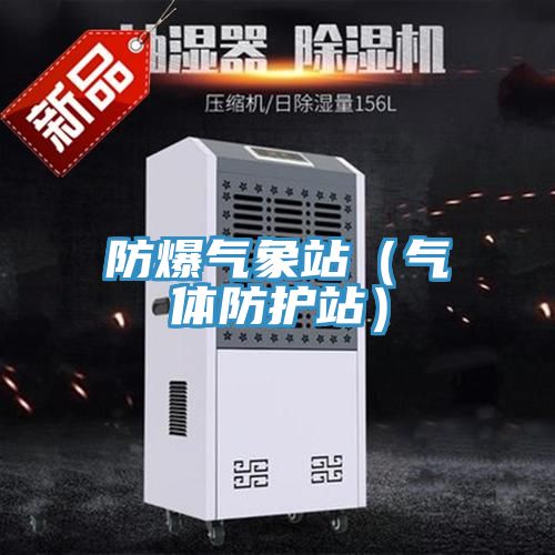 防爆氣象站（氣體防護(hù)站）