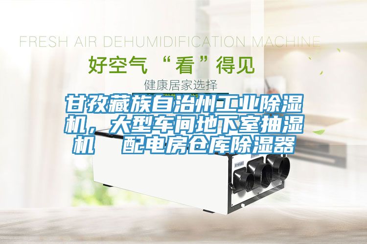 甘孜藏族自治州工業(yè)除濕機，大型車間地下室抽濕機  配電房倉庫除濕器