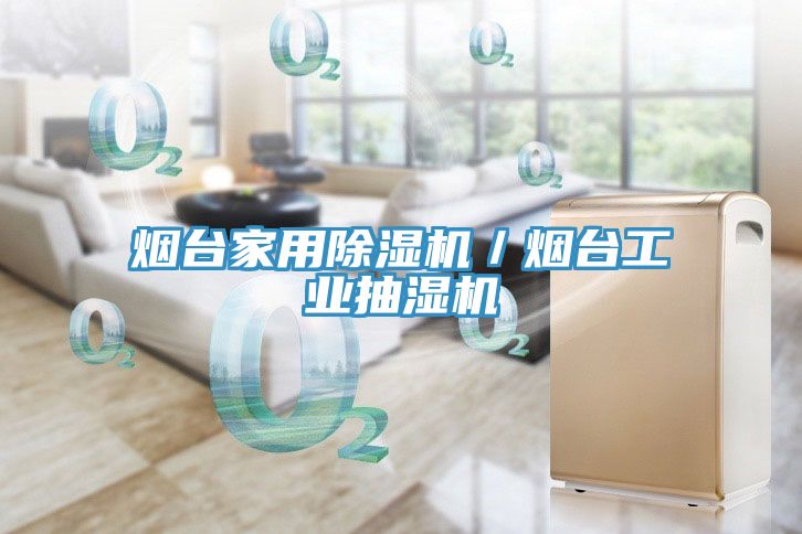 煙臺家用除濕機(jī)／煙臺工業(yè)抽濕機(jī)