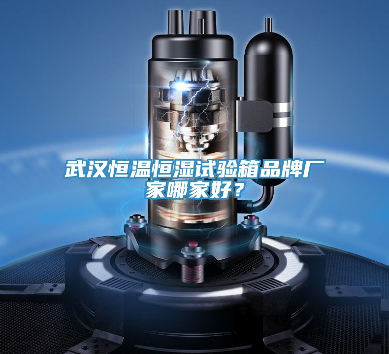 武漢恒溫恒濕試驗(yàn)箱品牌廠家哪家好？