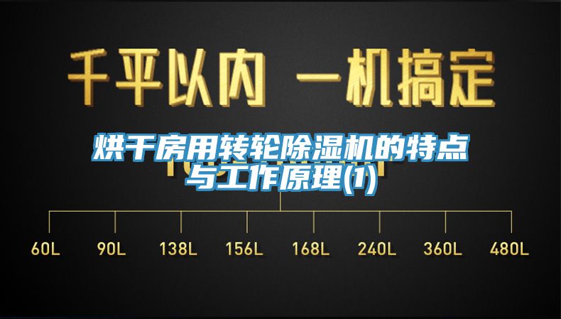 烘干房用轉(zhuǎn)輪除濕機(jī)的特點與工作原理(1)