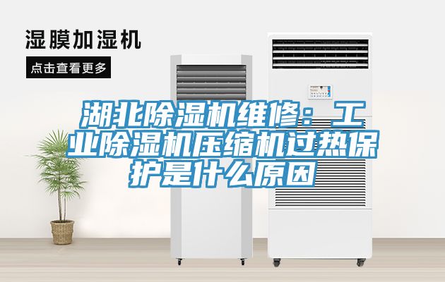 湖北除濕機(jī)維修：工業(yè)除濕機(jī)壓縮機(jī)過熱保護(hù)是什么原因