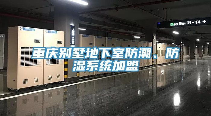 重慶別墅地下室防潮、防濕系統(tǒng)加盟