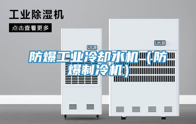 防爆工業(yè)冷卻水機(jī)（防爆制冷機(jī)）