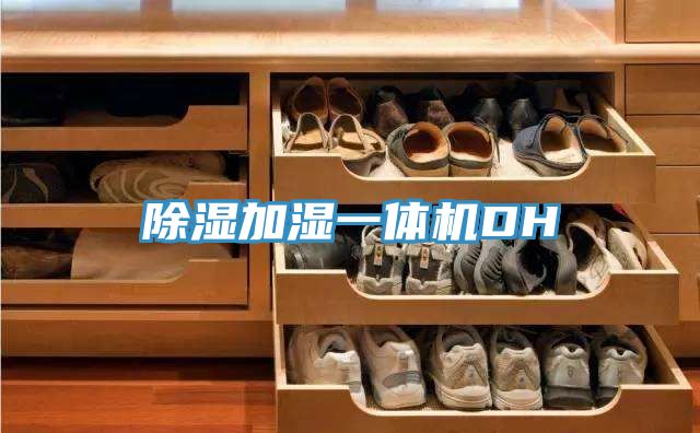 除濕加濕一體機DH