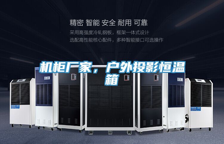 機(jī)柜廠家,戶外投影恒溫箱