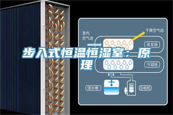 步入式恒溫恒濕室:原理