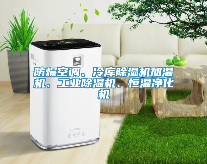 防爆空調(diào)、冷庫除濕機加濕機、工業(yè)除濕機、恒濕凈化機