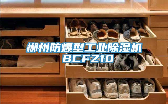 郴州防爆型工業(yè)除濕機(jī) BCFZ10