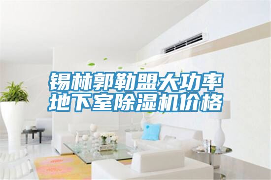 錫林郭勒盟大功率地下室除濕機(jī)價(jià)格