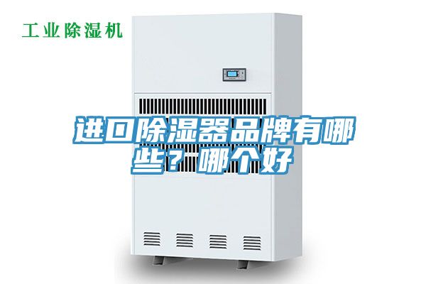 進口除濕器品牌有哪些?哪個好