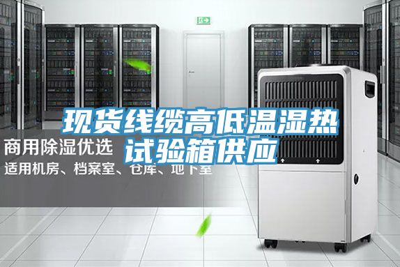 現(xiàn)貨線纜高低溫濕熱試驗箱供應(yīng)