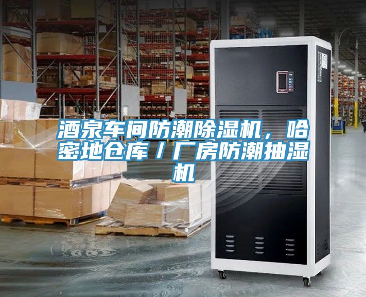 酒泉車(chē)間防潮除濕機(jī)，哈密地倉(cāng)庫(kù)／廠(chǎng)房防潮抽濕機(jī)