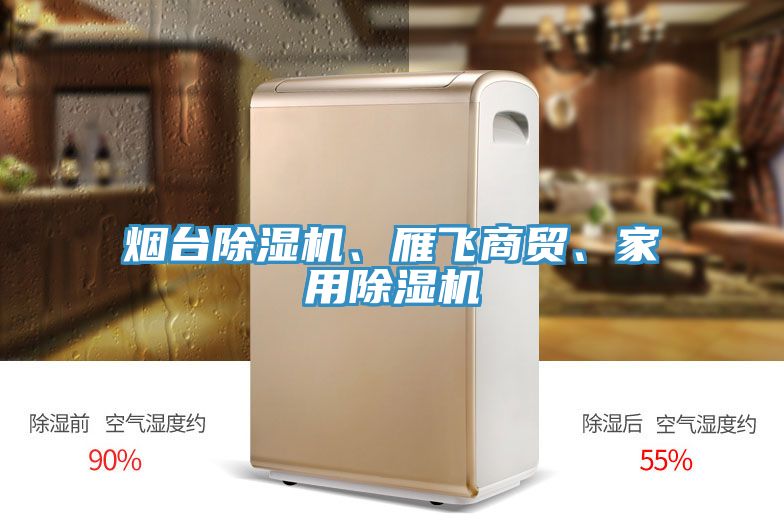 煙臺除濕機(jī)、雁飛商貿(mào)、家用除濕機(jī)