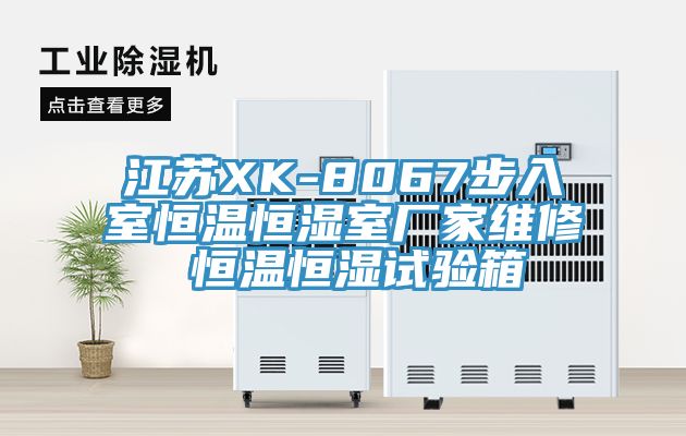 江蘇XK-8067步入室恒溫恒濕室廠家維修 恒溫恒濕試驗(yàn)箱