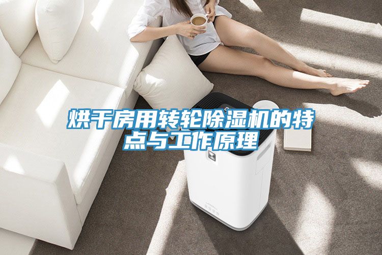 烘干房用轉(zhuǎn)輪除濕機(jī)的特點與工作原理
