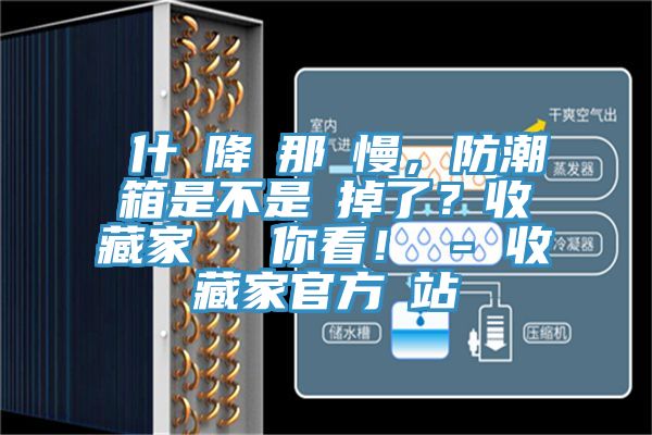 為什麼降濕那麼慢，防潮箱是不是壞掉了？收藏家實測給你看！ - 收藏家官方網(wǎng)站
