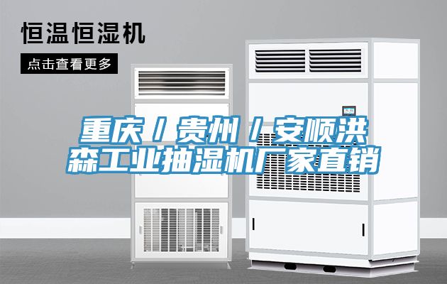 重慶／貴州／安順洪森工業(yè)抽濕機廠家直銷