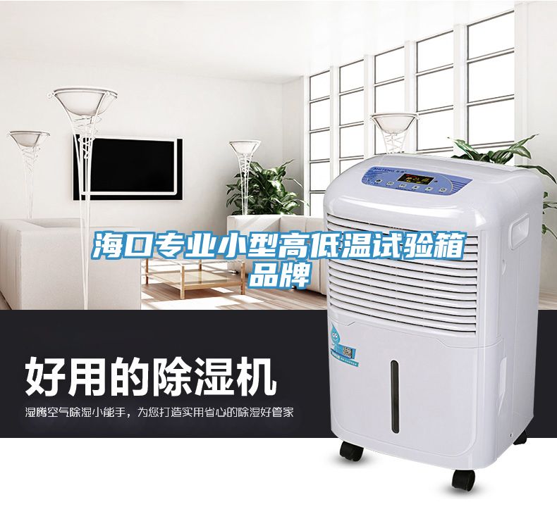 海口專業小型高低溫試驗箱品牌