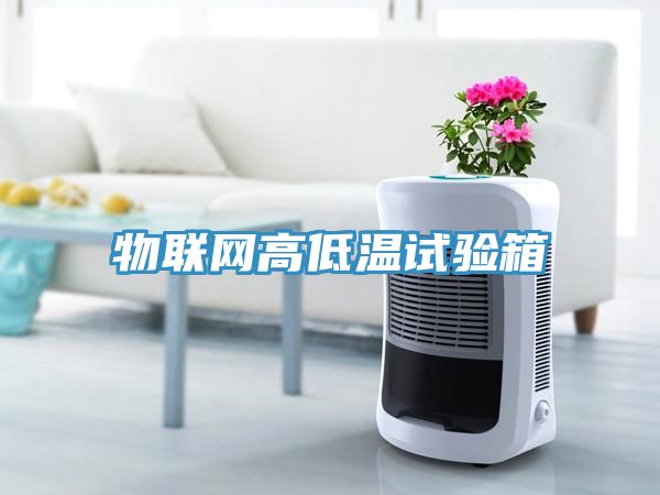 物聯(lián)網(wǎng)高低溫試驗箱