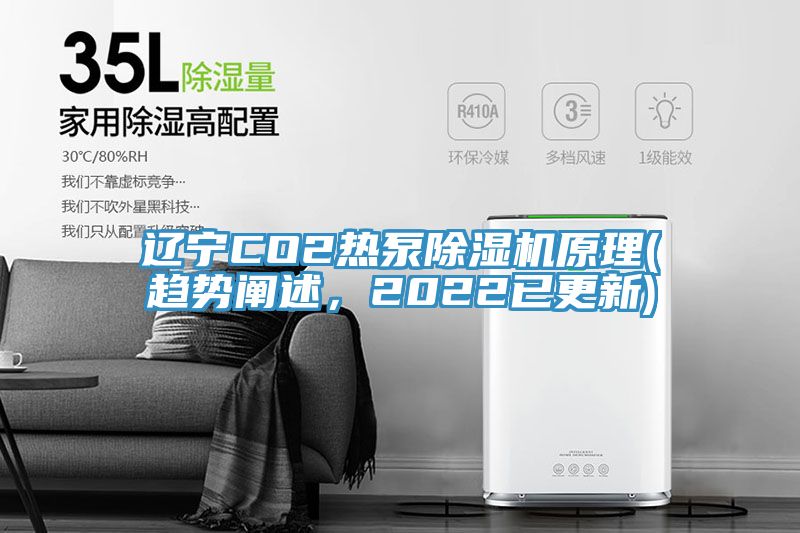 遼寧CO2熱泵除濕機(jī)原理(趨勢(shì)闡述,2022已更新)