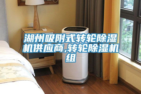 湖州吸附式轉輪除濕機供應商,轉輪除濕機組