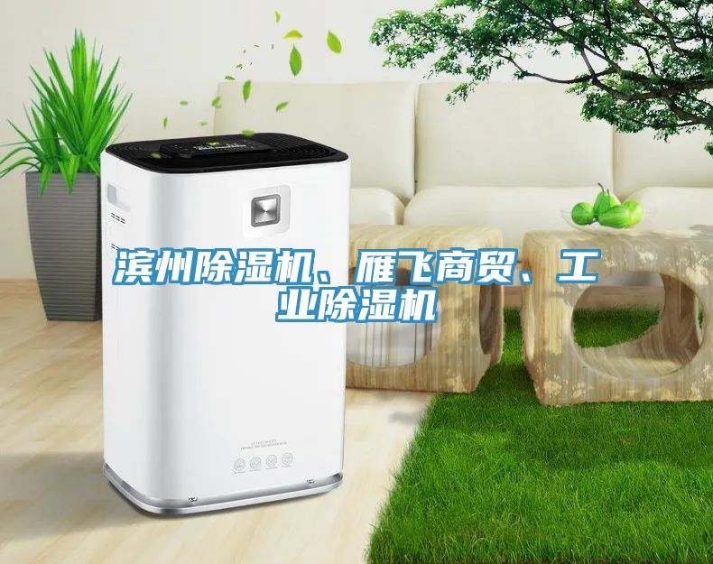濱州除濕機、雁飛商貿、工業除濕機