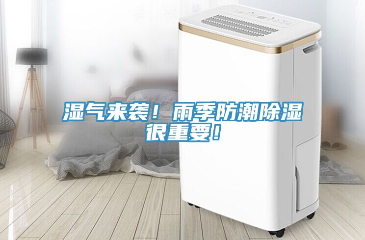 濕氣來襲！雨季防潮除濕很重要！