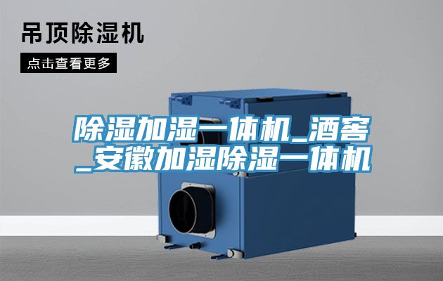 除濕加濕一體機_酒窖_安徽加濕除濕一體機