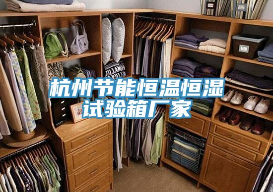 杭州節能恒溫恒濕試驗箱廠家