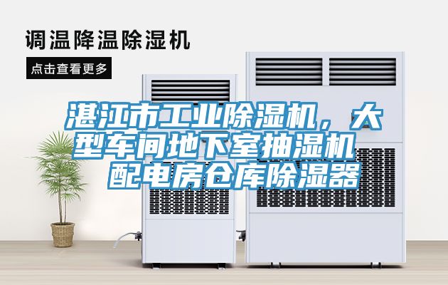 湛江市工業除濕機，大型車間地下室抽濕機  配電房倉庫除濕器