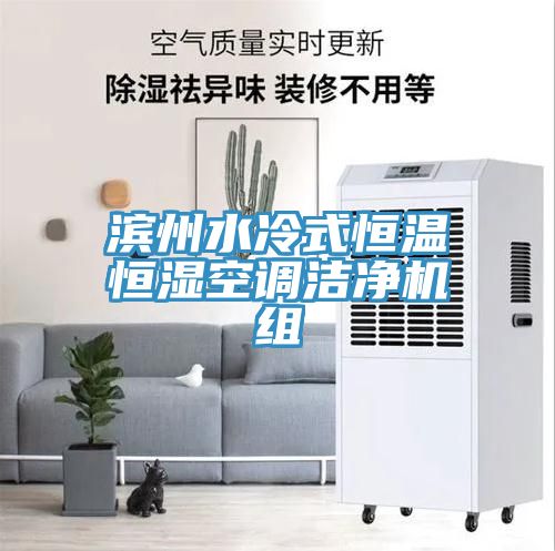 濱州水冷式恒溫恒濕空調潔凈機組