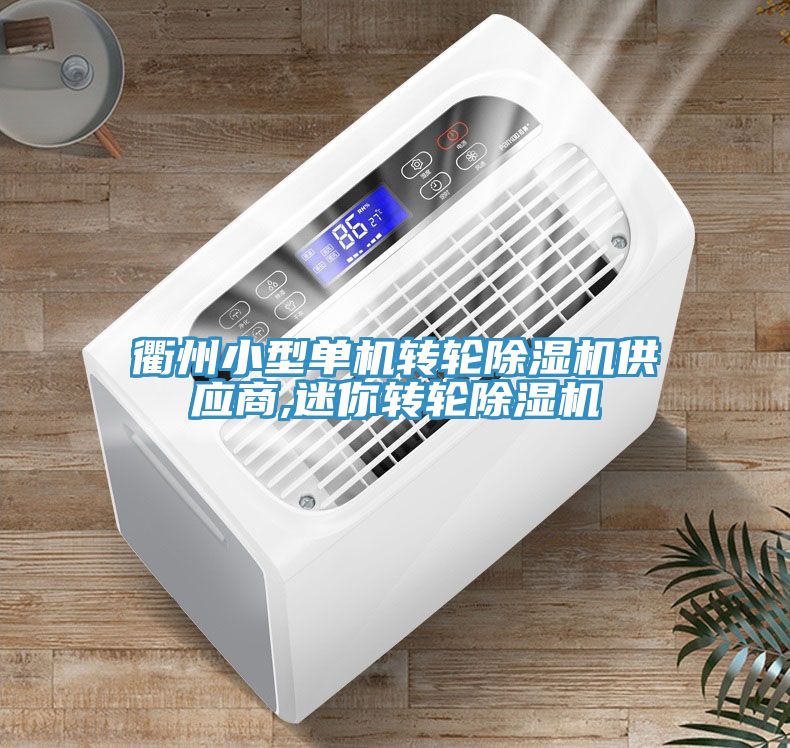 衢州小型單機轉(zhuǎn)輪除濕機供應(yīng)商,迷你轉(zhuǎn)輪除濕機