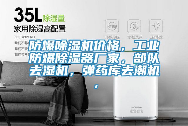 防爆除濕機(jī)價(jià)格，工業(yè)防爆除濕器廠家，部隊(duì)去濕機(jī)，彈藥庫(kù)去潮機(jī)，