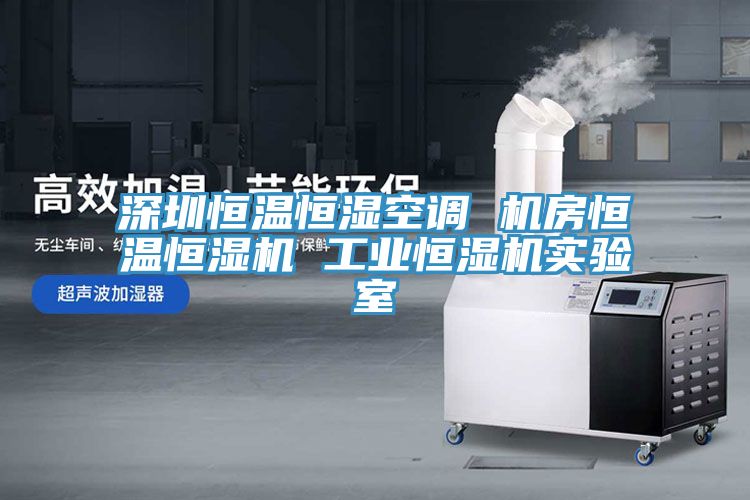 深圳恒溫恒濕空調(diào) 機(jī)房恒溫恒濕機(jī) 工業(yè)恒濕機(jī)實(shí)驗室