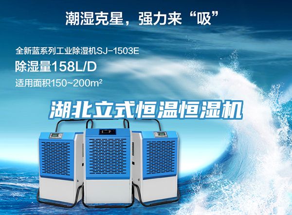 湖北立式恒溫恒濕機(jī)