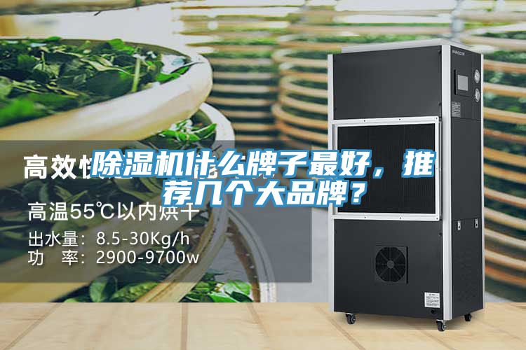 除濕機(jī)什么牌子最好，推薦幾個(gè)大品牌？