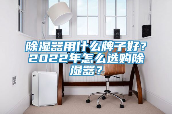 除濕器用什么牌子好？2022年怎么選購除濕器？